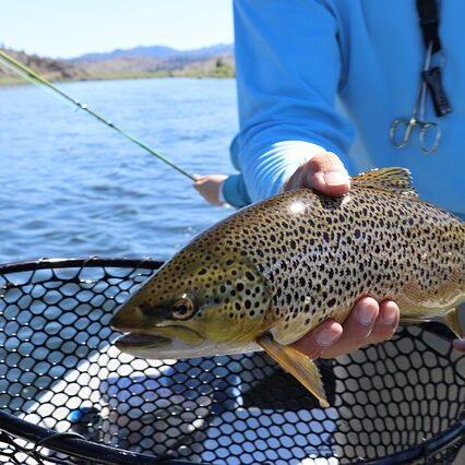 Fishing / Trout Fishing